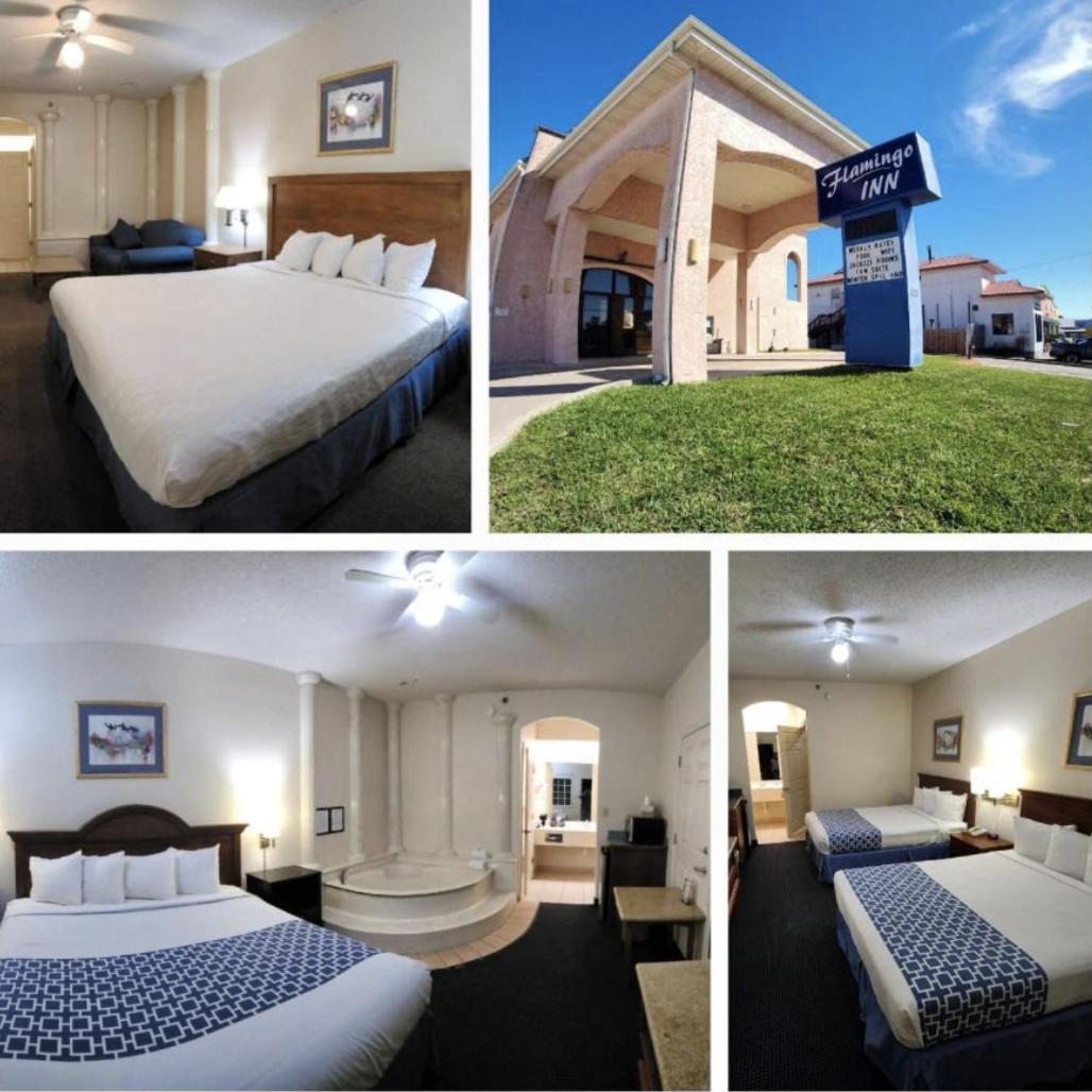 Hotel The Flamingo - South Padre Island Zewnętrze zdjęcie